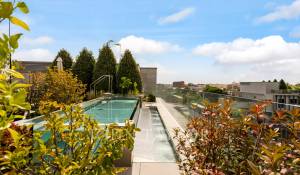 Продажа Пентхаус Madrid