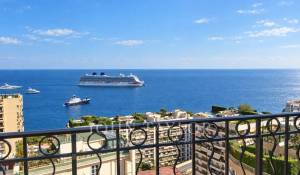 Продажа Пентхаус Monaco