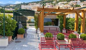 Продажа Пентхаус Monaco