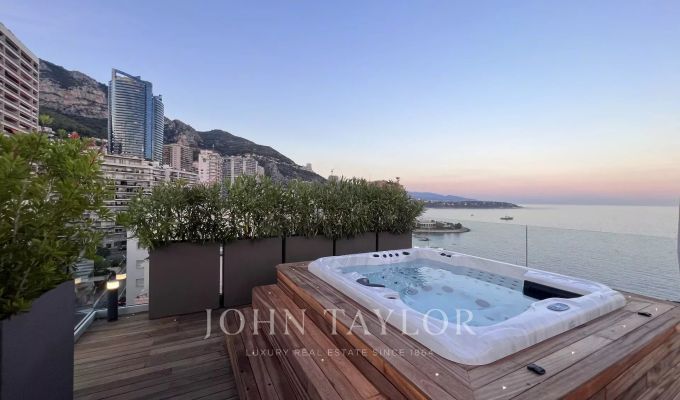 Продажа Пентхаус Monaco