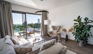 Продажа Пентхаус Mouttagiaka