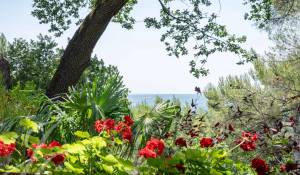 Продажа Поместье Aix-en-Provence