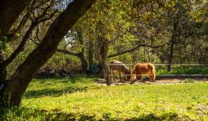 Продажа Поместье Aix-en-Provence