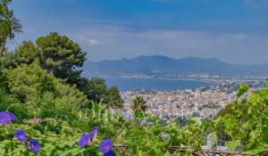 Продажа Поместье Cannes