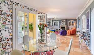 Продажа Поместье Cannes