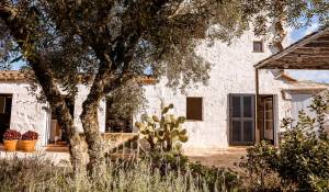 Продажа Поместье Ciutadella de Menorca