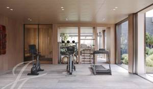 Продажа Поместье Collonge-Bellerive