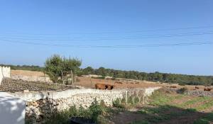 Продажа Поместье Ferreries