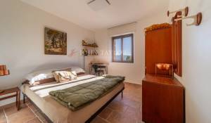 Продажа Поместье Gordes