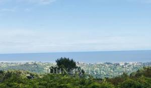 Продажа Поместье La Colle-sur-Loup