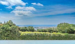 Продажа Поместье Le Cannet