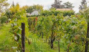 Продажа Поместье Libourne