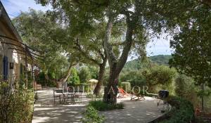 Продажа Поместье Mandelieu-la-Napoule