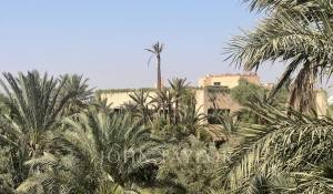 Продажа Поместье Marrakech