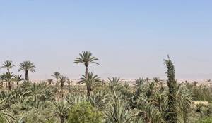 Продажа Поместье Marrakech