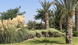 Продажа Поместье Marrakech