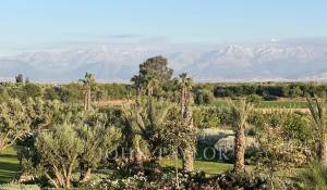 Продажа Поместье Marrakech