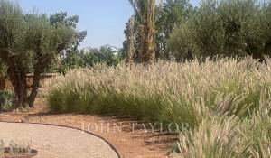 Продажа Поместье Marrakech