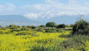 Продажа Поместье Marrakech