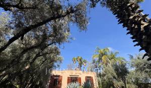 Продажа Поместье Marrakech