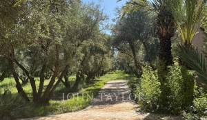 Продажа Поместье Marrakech