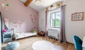 Продажа Поместье Ménerbes