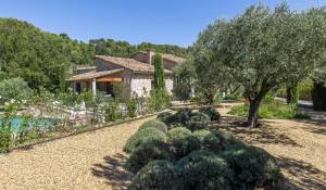 Продажа Поместье Ménerbes