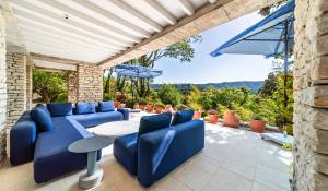 Продажа Поместье Ménerbes