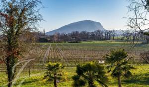 Продажа Поместье Presinge