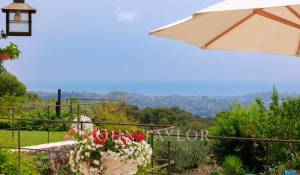 Продажа Поместье Saint-Paul-de-Vence