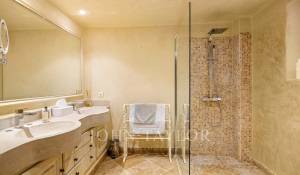 Продажа Поместье Saint-Paul-de-Vence