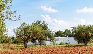 Продажа Поместье Santa Eularia des Riu