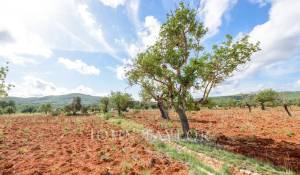 Продажа Поместье Santa Eularia des Riu