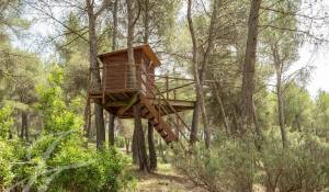 Продажа Поместье Simiane-Collongue