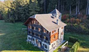 Продажа Поместье Sion