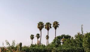 Продажа Риад Marrakech