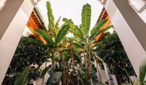 Продажа Риад Marrakech