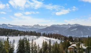 Продажа Шале Crans-Montana