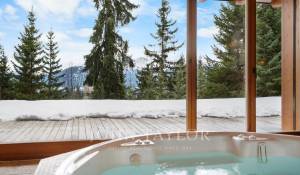 Продажа Шале Crans-Montana