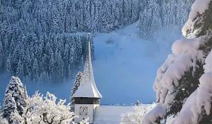 Продажа Шале Rougemont