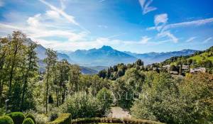 Продажа Шале Villars-sur-Ollon