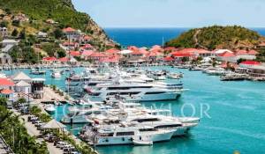 Продажа Торговое предприятие Saint-Barthélemy