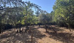 Продажа Участок на застройку Cabrières-d'Avignon