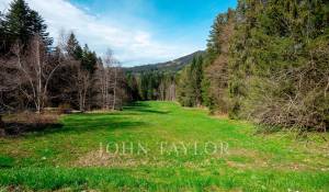 Продажа Участок на застройку Les Paccots