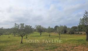 Продажа Участок на застройку Llucmajor