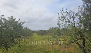 Продажа Участок на застройку Llucmajor