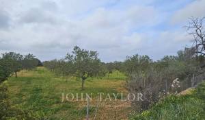 Продажа Участок на застройку Llucmajor