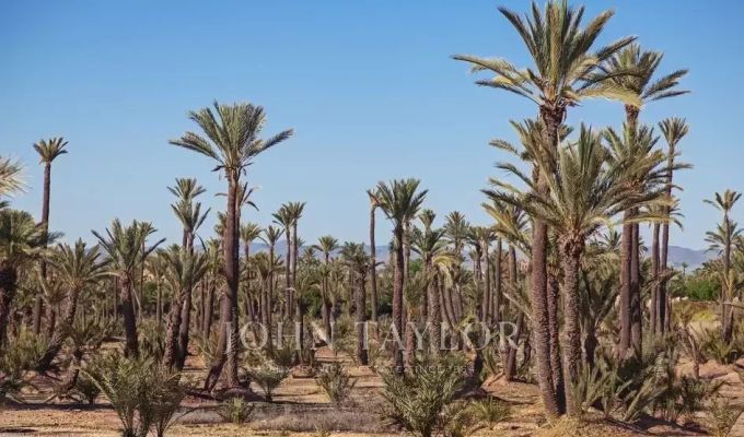 Продажа Участок на застройку Marrakech