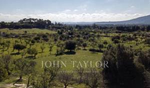 Продажа Участок на застройку Moscari