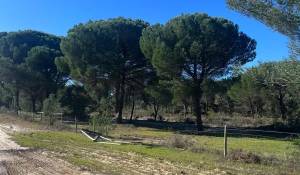 Продажа Участок земли 